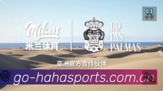 全球访问热力分布图